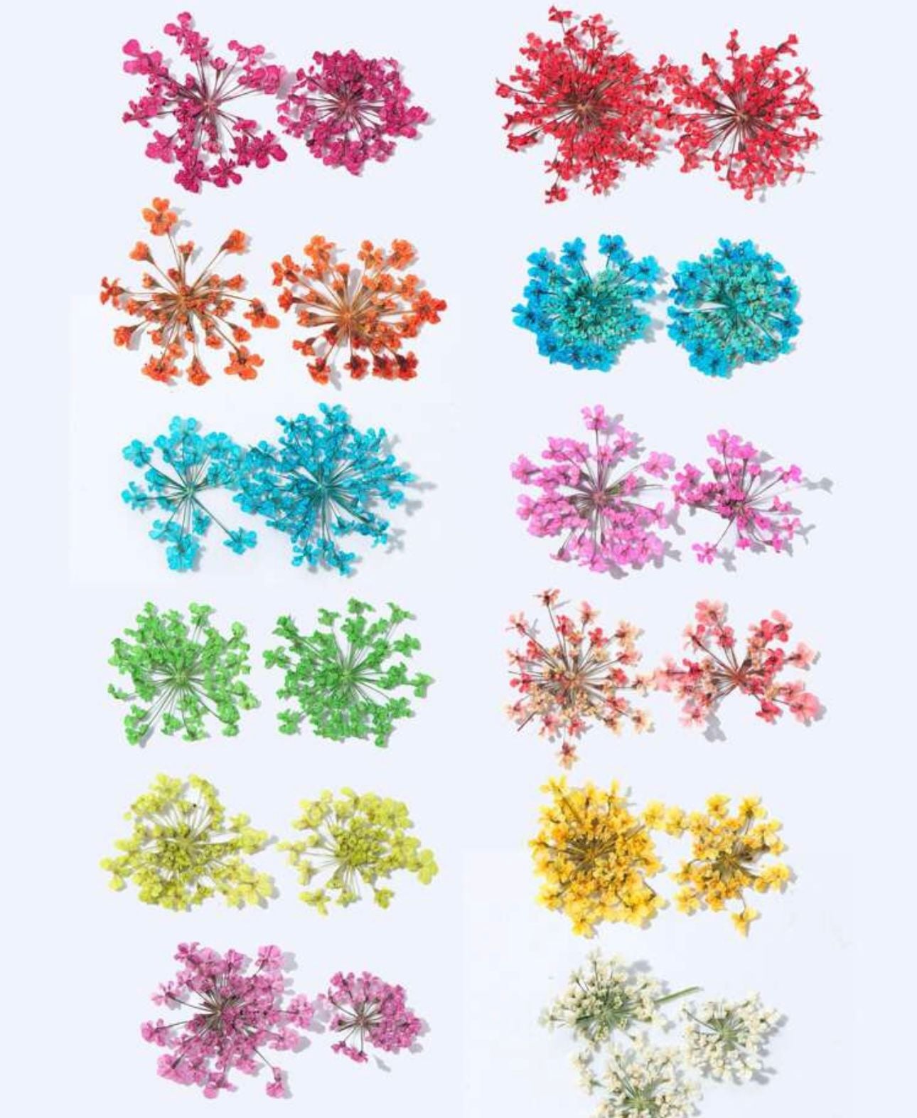 Flores Secas para Unhas