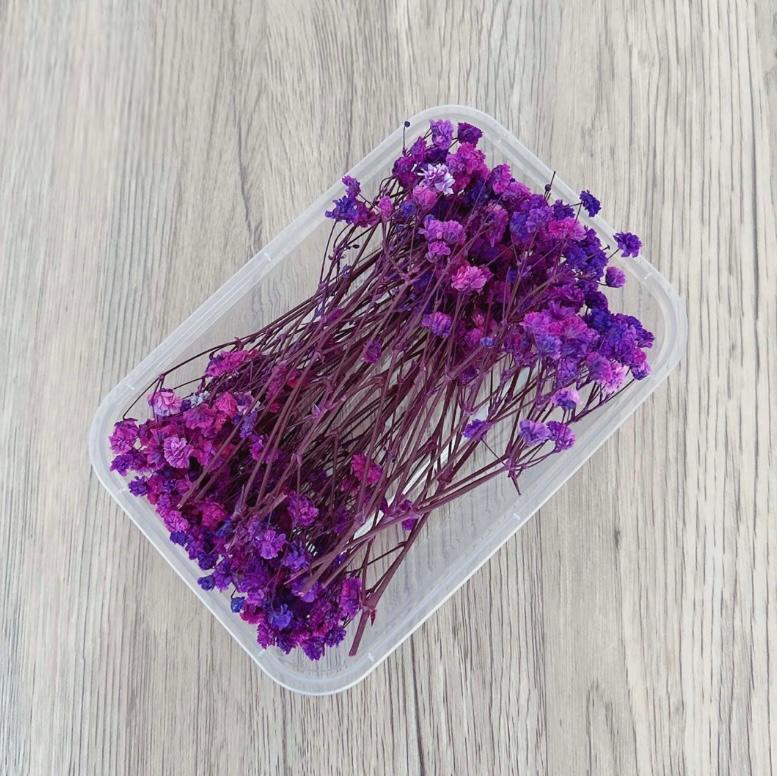 Caixa de Flores Secas