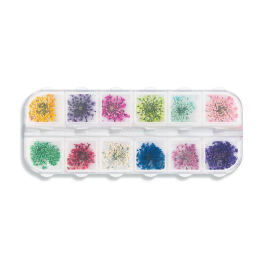 Flores Secas para Unhas